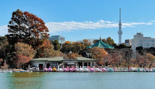 上野の占いおすすめTOP20！星ひとみ先生のお店や恋愛・霊視に強い予約なし店も紹介